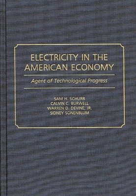 Sam H. Schurr, Calvin C. Burwell, Warren S. Devine, Sidney Sonenblum - Electricity in the American Economy, Inbunden