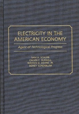 Electricity in the American Economy 1
