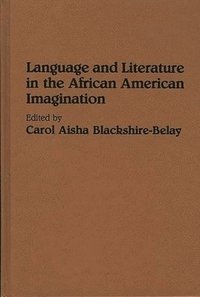 bokomslag Language and Literature in the African American Imagination