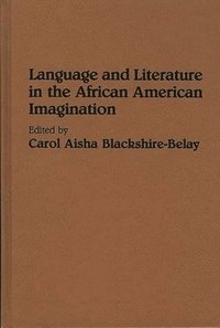 bokomslag Language and Literature in the African American Imagination