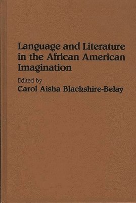 bokomslag Language and Literature in the African American Imagination