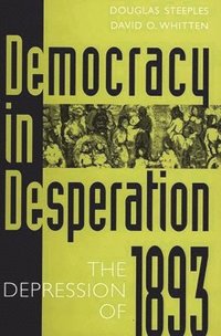 bokomslag Democracy in Desperation