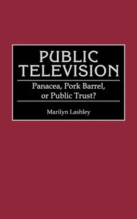 bokomslag Public Television