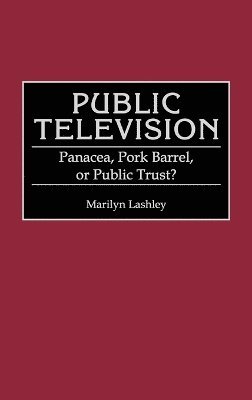 bokomslag Public Television