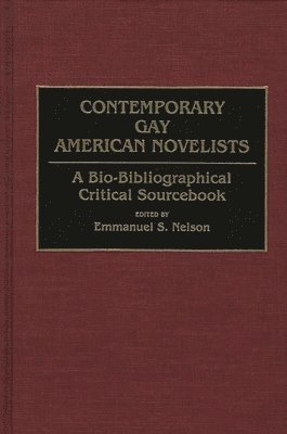 bokomslag Contemporary Gay American Novelists