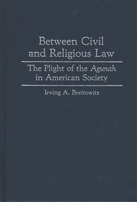 bokomslag Between Civil and Religious Law