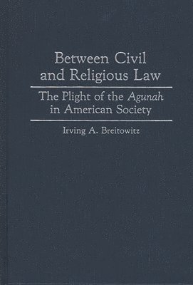 bokomslag Between Civil and Religious Law