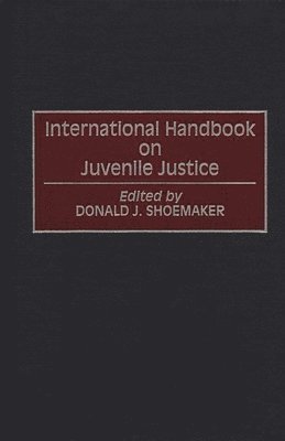 bokomslag International Handbook on Juvenile Justice