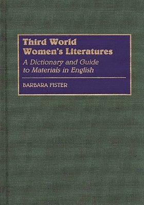 bokomslag Third World Women's Literatures