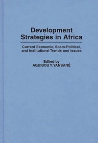 bokomslag Development Strategies in Africa