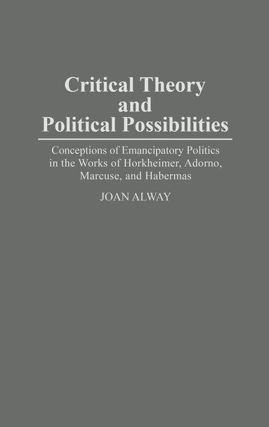 bokomslag Critical Theory and Political Possibilities