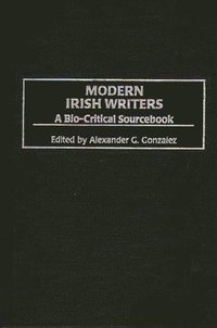 bokomslag Modern Irish Writers