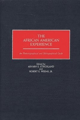 bokomslag African American Experience