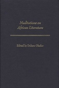bokomslag Meditations on African Literature