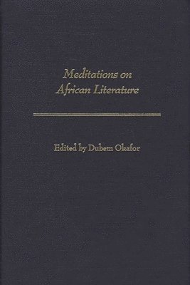 bokomslag Meditations on African Literature