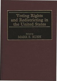 bokomslag Voting Rights and Redistricting in the United States