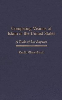 bokomslag Competing Visions of Islam in the United States