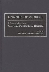 bokomslag A Nation of Peoples