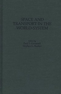 bokomslag Space and Transport in the World-System
