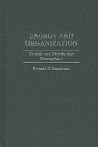 bokomslag Energy and Organization