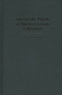 bokomslag Solving the Puzzle of Interest Group Litigation