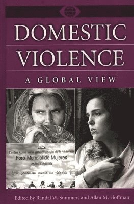 bokomslag Domestic Violence