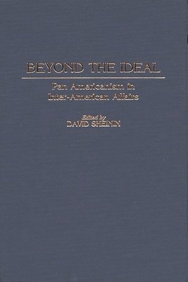 bokomslag Beyond the Ideal