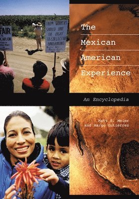 The Mexican American Experience 1