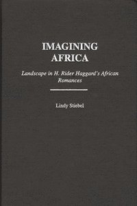 bokomslag Imagining Africa