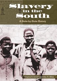 bokomslag Slavery in the South
