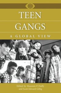 bokomslag Teen Gangs