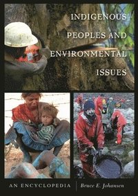 bokomslag Indigenous Peoples and Environmental Issues
