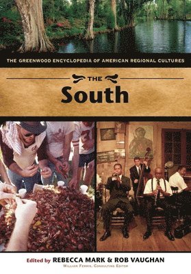 bokomslag The South