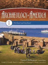 bokomslag Archaeology in America