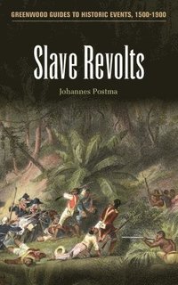bokomslag Slave Revolts