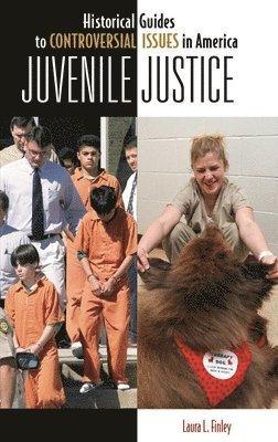 bokomslag Juvenile Justice