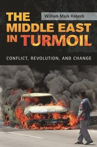 bokomslag The Middle East in Turmoil