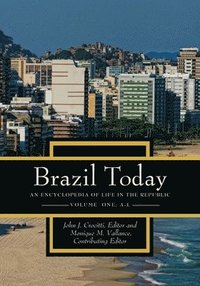 bokomslag Brazil Today