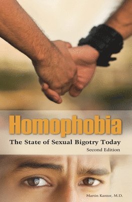 bokomslag Homophobia