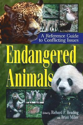 bokomslag Endangered Animals