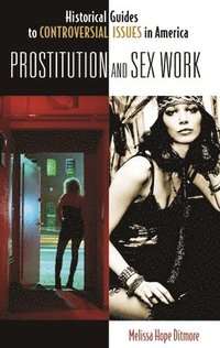 bokomslag Prostitution and Sex Work
