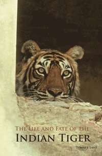 bokomslag The Life and Fate of the Indian Tiger