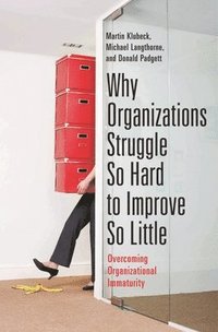 bokomslag Why Organizations Struggle So Hard to Improve So Little
