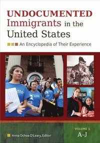 bokomslag Undocumented Immigrants in the United States