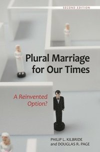 bokomslag Plural Marriage for Our Times