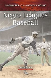 bokomslag Negro Leagues Baseball