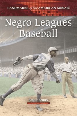 Roger Bruns, USA) Bruns, Roger (Independent Scholar - Negro Leagues Baseball, Inbunden