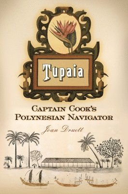 Tupaia 1