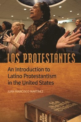 bokomslag Los Protestantes