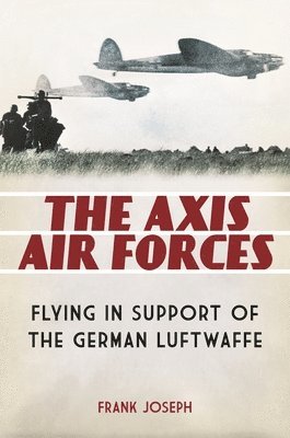 Frank Joseph - Axis Air Forces, Inbunden